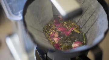 Tea brewing with Moccamaster