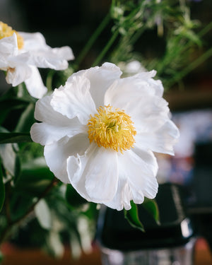 Moccamaster's commitment to sustainability
