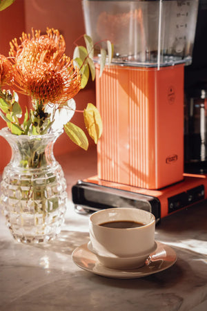 Meet our 2026 colour of the year Sorbet!