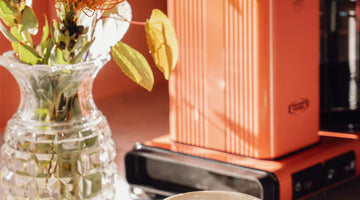 Meet our 2026 colour of the year Sorbet!